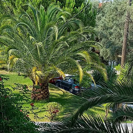 Apartament Thalero Holidays Center *