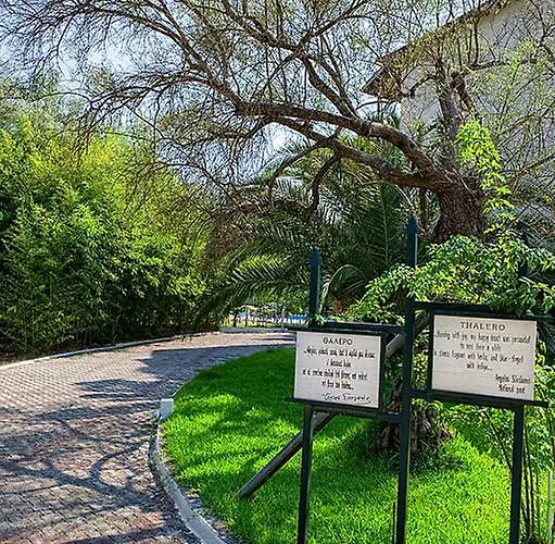 Thalero Holidays Center Apartment Lygia (Lefkada)